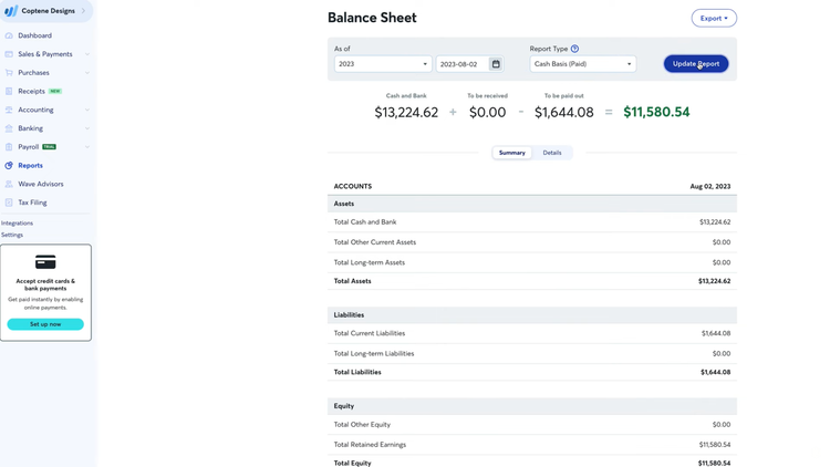 Wave balance sheet