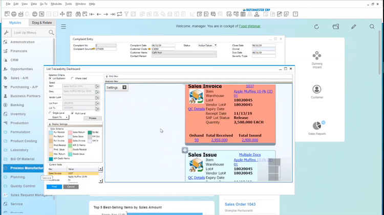 Lot Traceability in BatchMaster ERP