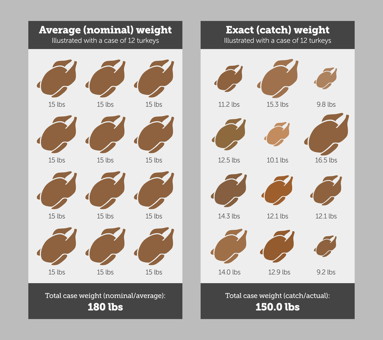 An illustration visualizing catch weight vs average weight with a case of 12 turkeys