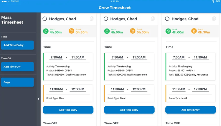 Deltek Replicon Crew Timesheet
