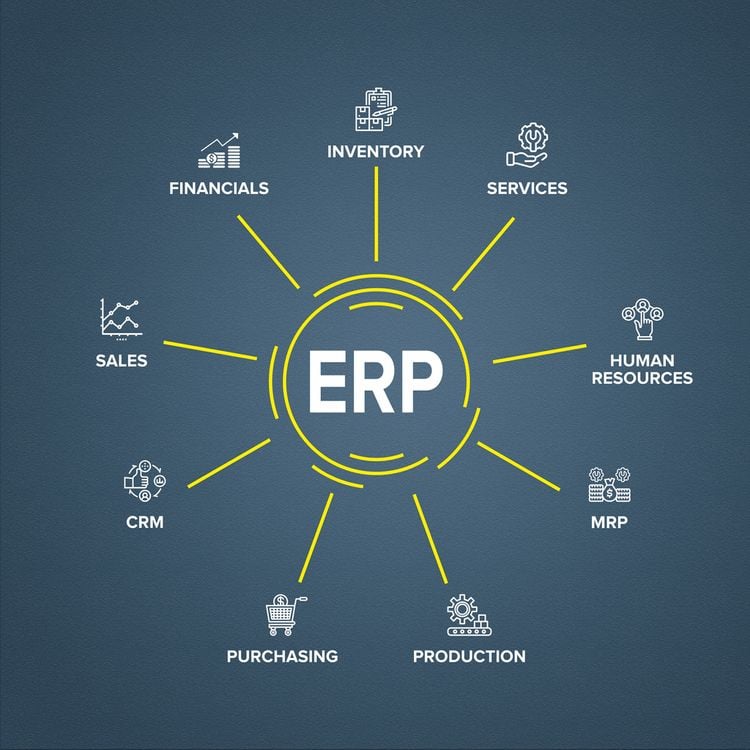 ERP Module Circle Flow Chart