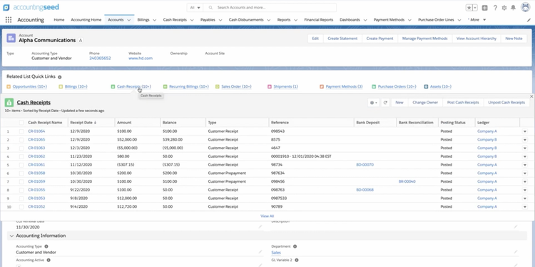 Accounting Seed Account Details