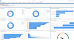 Accounting Seed: Accounting Dashboard