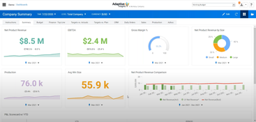 Workday Adaptive Planning: Company Summary