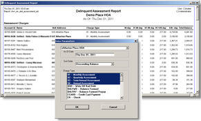 C3 Community Management Software: Delinquent Assessment Report