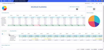 Anaplan: Revenue Planning Page