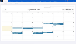 ApparelMagic: Calendar