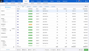 ApparelMagic: Sales Orders