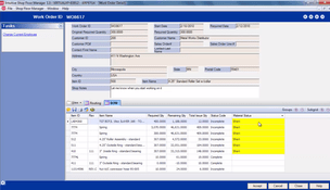 Aptean Intuitive ERP: Work Order