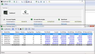 Aquilon ERP: Branch Summary Query