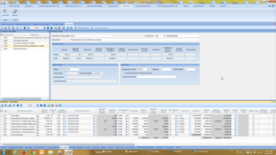 Contruent Enterprise: Contracts