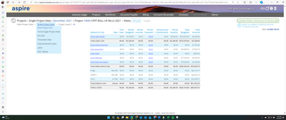 Aspire GovCon Accounting: Single Project View