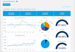 VeriBalance: Dashboard