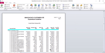 Banyon Fund Accounting: Expenditure Guideline