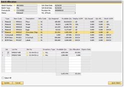 BatchMaster ERP: BatchMaster ERP Batch Allocation