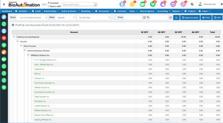 BizAutomation Cloud ERP: Profit & Loss Accounts