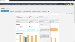 Blackbaud Financial Edge NXT: Analysis Page