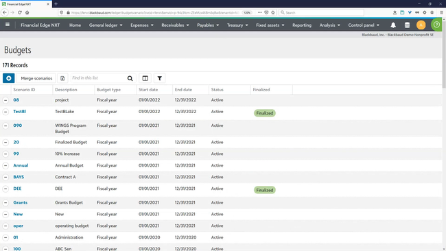 Blackbaud Financial Edge NXT: Budget Page