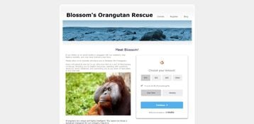 Bloomerang: Online Giving Donation Plugin