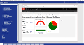 Blue Link ERP: Dashboard