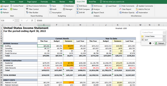 Vivid Reports: Income Statement