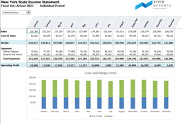 Vivid Reports: Income Statement Individual Period