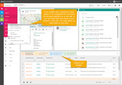BusinessMan ERP: Tabbed List Widget