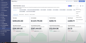 Canix: Sales Overview