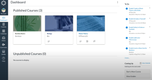 Canvas LMS: Published and Unpublished Courses