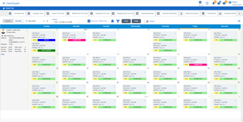 CareVoyant: Patient Monthly View