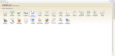 Caselle Connect: Active Applications