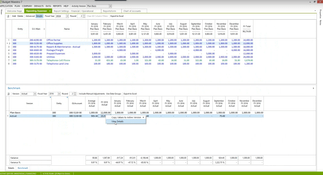 Planning Maestro: Operating Expenses