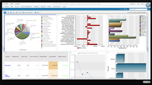 Planview Changepoint: Customer Management