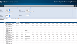 CoStar Real Estate Manager: Accounting Forecast