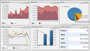 Inform ERP: Summary Dashboard