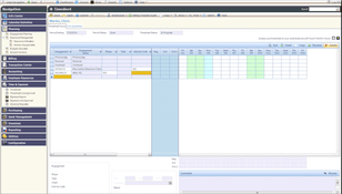 Deltek Vantagepoint: Employee Timesheet