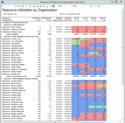 Deltek Vantagepoint: Resource Utilization By Organization Report