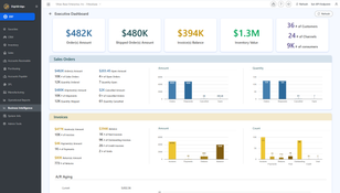 DigitBridge: Executive Dashboard