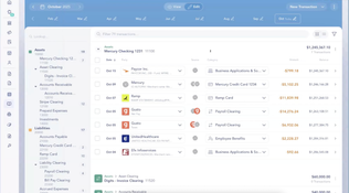 Digits Accounting Software: Digits Ledger