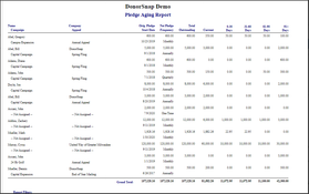 DonorSnap: Sales Report