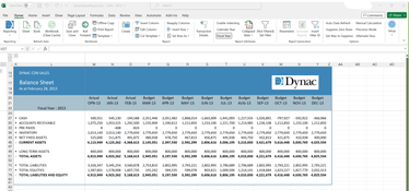 Dynac CPM: Dynac Reporting