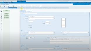 Radius ERP: Visual Work Plan