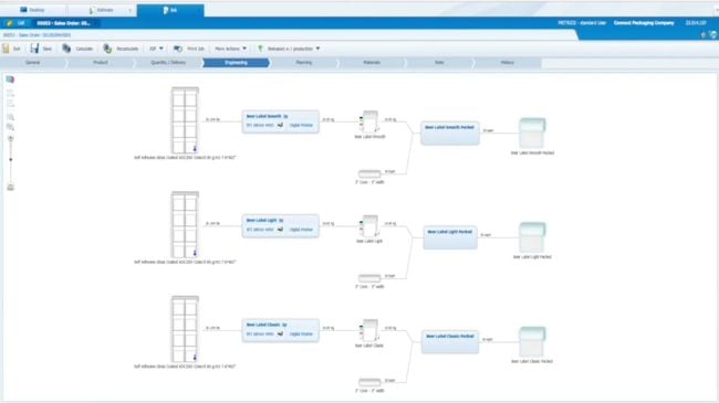 Radius ERP: Visual Work Plan