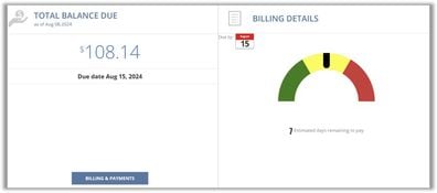 El Dorado Utility Billing Software: Customers Balance