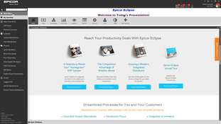 Epicor Eclipse: Home page web widget