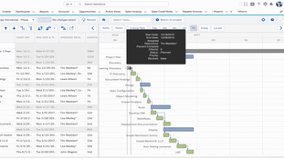 Certinia ERP: Project Planning Page