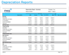 FMIS Fixed Assets: Depreciation Reports