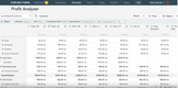 Granular Insights: Profit Analyzer