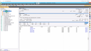 HeavyBid: Estimate Entry