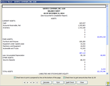 Financial Statement Generator: Balance Sheet